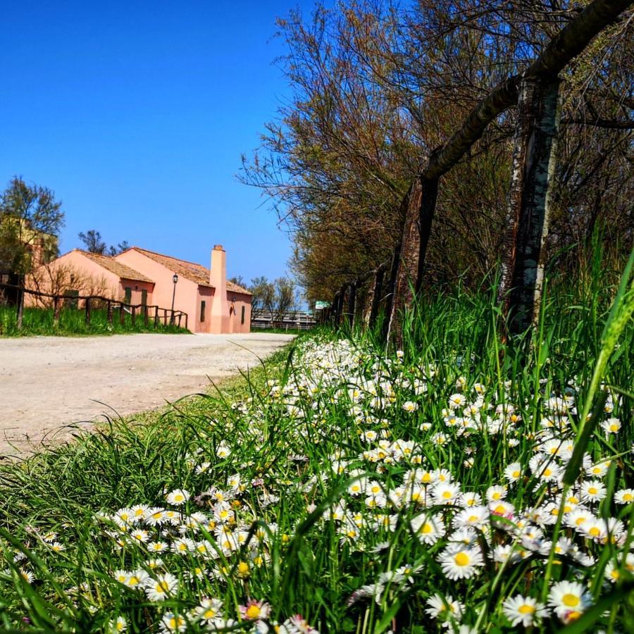 Residenza La Gallinella Комаккьо Экстерьер фото